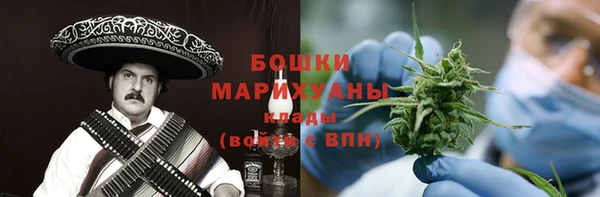 гидра Арсеньев