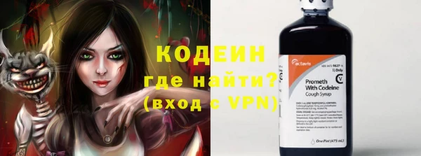 гидра Арсеньев